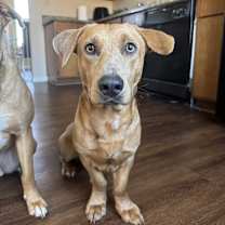 Thumbnail photo of Tater #1