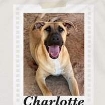 Thumbnail photo of Charlotte #4