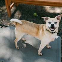 Thumbnail photo of Twain #1