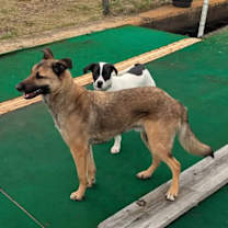 Thumbnail photo of Boone Robinson #4