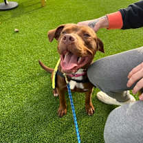 Thumbnail photo of Ronald #3