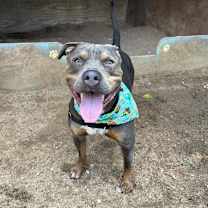 Thumbnail photo of Maximo #4