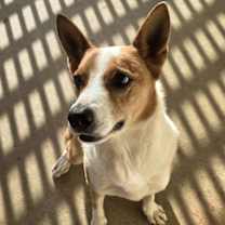 Thumbnail photo of Chevy #1