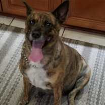 Thumbnail photo of SOPHIE #1