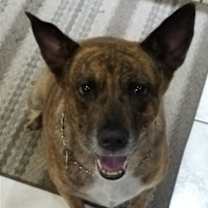 Thumbnail photo of SOPHIE #2