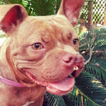 Thumbnail photo of Rosie #2