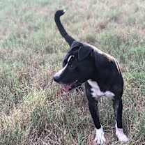 Thumbnail photo of Rexford (Rex) #3