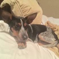 Thumbnail photo of BETTY #4
