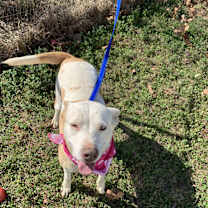 Thumbnail photo of Jubilee #4