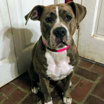 Thumbnail photo of Baby Girl #1