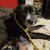 Thumbnail photo of Byron #1