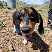 Thumbnail photo of Jake #1