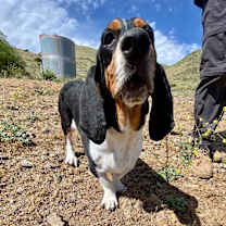 Thumbnail photo of Jake #3