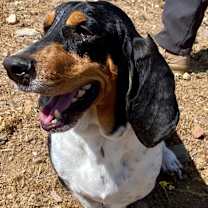 Thumbnail photo of Jake #4