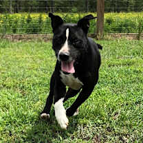 Thumbnail photo of Rexford (Rex) #4