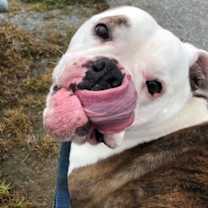 Thumbnail photo of Daisy Mae #2