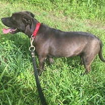 Thumbnail photo of Russel-Video Link #2