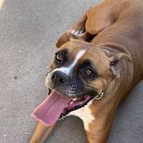 Thumbnail photo of Sookie #3