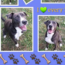 Thumbnail photo of Byron #2
