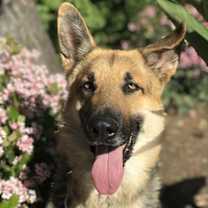 Thumbnail photo of Ivan #1