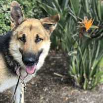 Thumbnail photo of Ivan #3