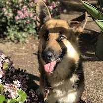 Thumbnail photo of Ivan #4