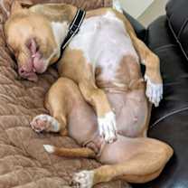 Thumbnail photo of Faith #4