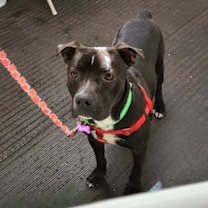 Thumbnail photo of Donovan #3