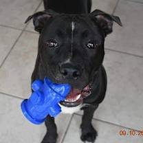 Thumbnail photo of Donovan #4