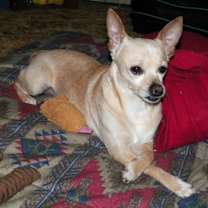 Thumbnail photo of Tiny #2