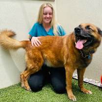 Thumbnail photo of Sampson #3