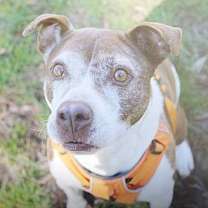 Thumbnail photo of Layla #3