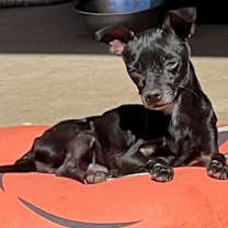 Thumbnail photo of Cruz #1