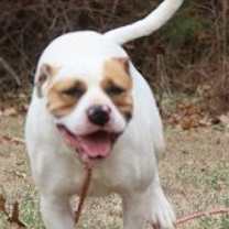 Thumbnail photo of Tug #4