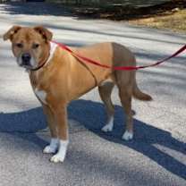 Thumbnail photo of Marcie #3