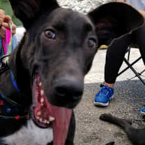 Thumbnail photo of Jet #1