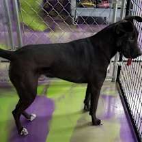 Thumbnail photo of Jet #2