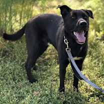 Thumbnail photo of Ernie #1