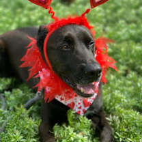 Thumbnail photo of Ernie #2