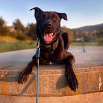 Thumbnail photo of Ernie #4