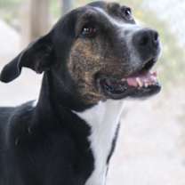 Thumbnail photo of Brady #1
