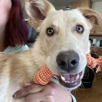 Thumbnail photo of Mason #3