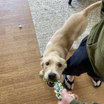 Thumbnail photo of Mason #4