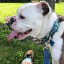 Thumbnail photo of Daisy Mae #4