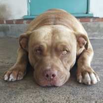 Thumbnail photo of Mason #1