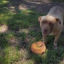 Thumbnail photo of Mason #2