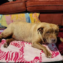 Thumbnail photo of Mason #4
