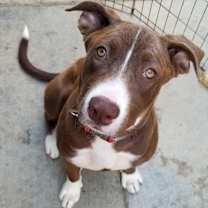 Thumbnail photo of Maggie May #1