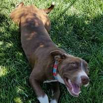 Thumbnail photo of Maggie May #2