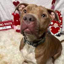 Thumbnail photo of Jaxx #2